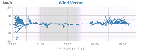 Wind Vector