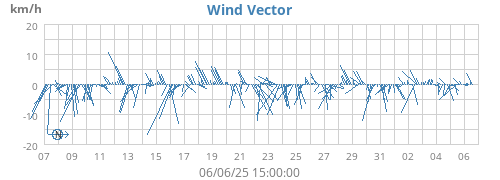 Wind Vector