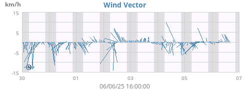 Wind Vector
